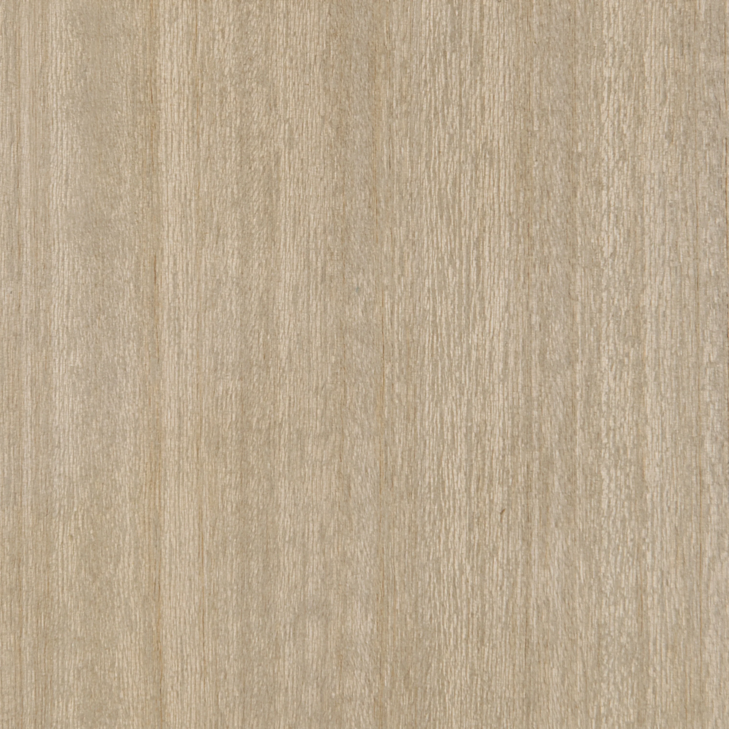 Dream Chaser Bed - King - Image 7